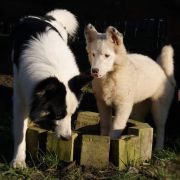 DELOKIS TERRA MICHGAN The Future is Ours 