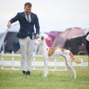 Gran Habano Corojo Baltas Vejas