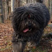 NICCI Au Domaine De PEYCHEC