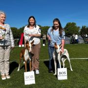 ALMA ARDIENTE UNBELIEVABLE LOVE JULIETTE