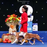 Her Beauty Overthrew You Via Fortuna