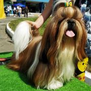 Biskvit Milye Mordashki