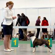 MOOLTI TIME TO GO FOR VICTORY