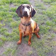 CHANELL Posokowce z Weroniki