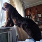 Aquatoriya Kelvin Elfa