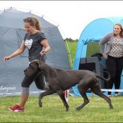 YOKO ONO Margarejro FCI