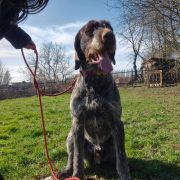 Eros Vallis Baptismi