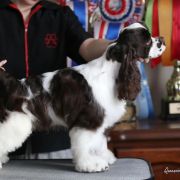 Queenzie AS NEVER BEFORE