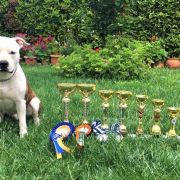 Proud to be Greek Archimedes