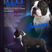 ABSOLUTELY CHARMING ALEX KHARKOV STYLE