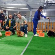 Aleksa's Gold BLACKBERRI