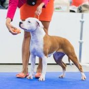 Her Beauty Overthrew You Via Fortuna