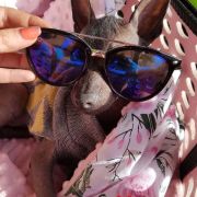 Rosa Maria ESPINOZA MEX FCI