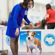 EAGLE FLYING HIGH VIA FORTUNA