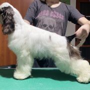 Queenzie AIN’T SHE SWEET