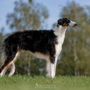 HYPNOTIZING XENA Impuls i Splendor