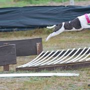 Jakard Wejherstaff Moulin Rouge