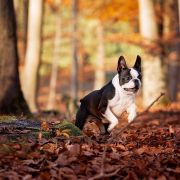 Infinite Love s Krainego Severa