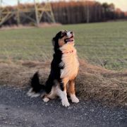 Ursulla Star of Elune aka Sydney