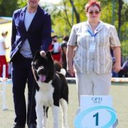 Raymi Always With You Kattyval (Texac)