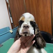 Queenzie AIN’T SHE SWEET