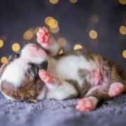 TWEETY Because of Crazy Time 