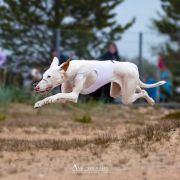 Yurania Baltas Vejas