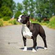 Lola Narcotic of Nimilioxus 