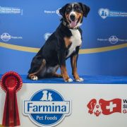 Nike z Baśniowej Łąki 