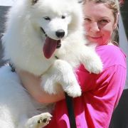 SHANTII SUPER STAR Small Silver FCI 