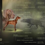 Ares z Włodzimierzowa