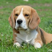 UNO MOMENTO KATTYVAL