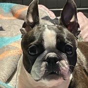 HOT & SPICY IMPERIAL ERIADOR 