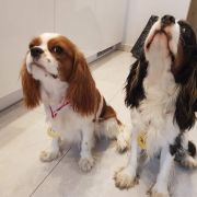 MEGI Kolorowy Ogród 