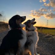 Ursulla Star of Elune aka Sydney