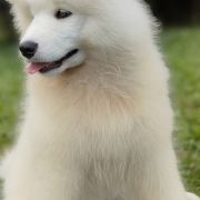 APEROL SPRITZ Monastery of Alias 