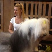 Camerata (FCI) ACHTUNG BABY