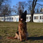 Dorikanaa von Skorpionenblut 