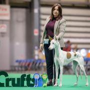 Simka Rjabina De Bergerac 