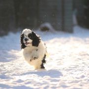 Queenzie ALL ABOUT ME