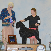 Marinella`s FOLLOW THAT DREAM