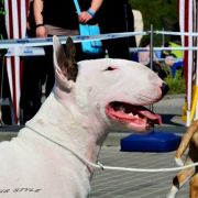 Coloroco LEGENDARY LADY