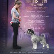 Northern Storm Artax's Angels (C.I.B. & Multi Ch.)