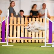 KISSES OF ANGEL CAIA