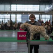 PRECIOUS PIPI Top of Ben Nevis FCI