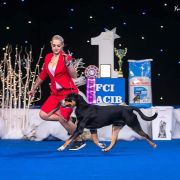 Bally-Balboa Vom Gross Grunberg