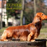 ZEPHYR Elimar Doubrava