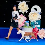 Royal Highness Via Fortuna