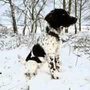 Juddy z Budišovské doliny