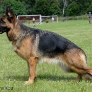 Розплідник